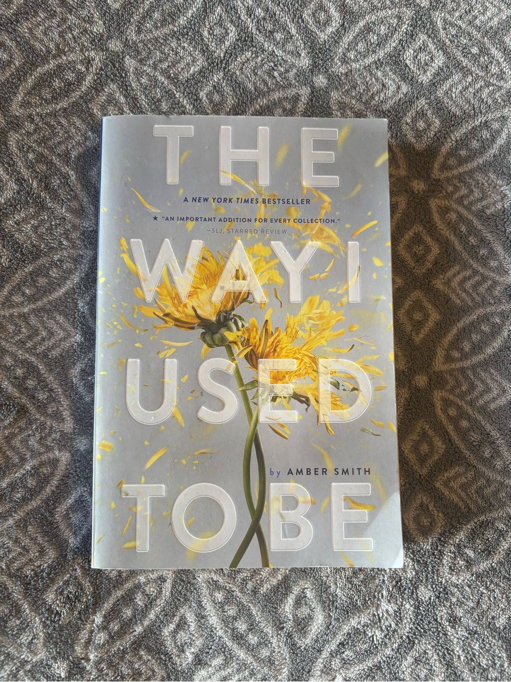 The Way I Used to Be by Amber Smith - Young Adult Paperback Book